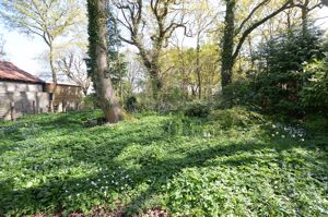 Far End of Garden- click for photo gallery